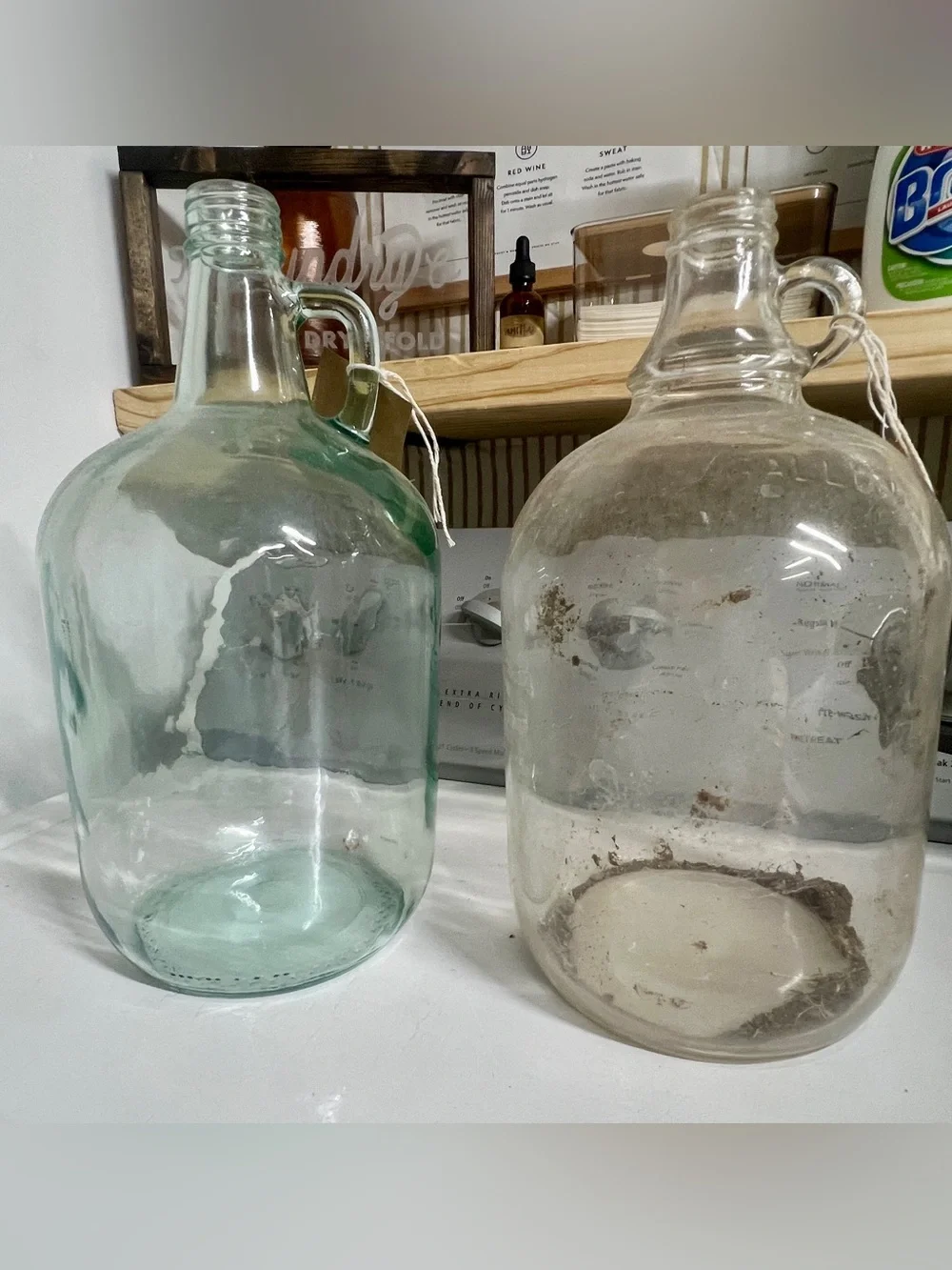 2 - One Gallon Glass Jug Vase - Light Green and Clear Decorative Carboys